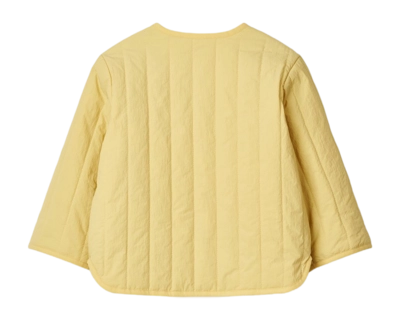 2---lielw18636_ccrispycorn_v1856_1-_no-bg