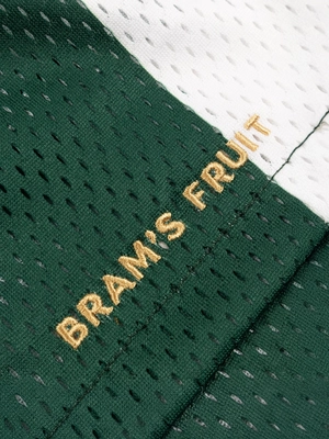 7---MeshShorts-Green-WhiteStriped_detail3
