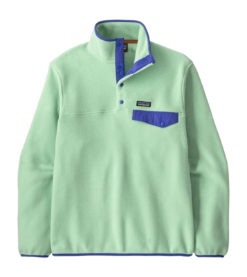 Trui Patagonia Men LW Synch Snap-T P/O Rinsed Green