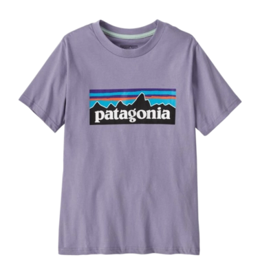 T-Shirt Patagonia Kids P-6 Logo Rock Wash: Concrete Purple
