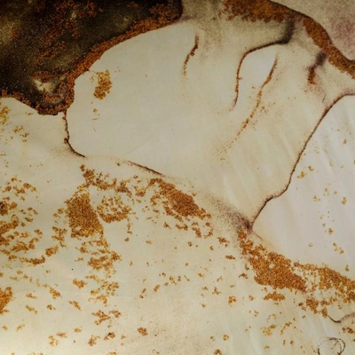 sano2_1_1