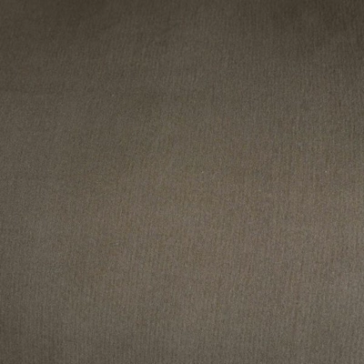 5---rui_-_olijf_2_2_2