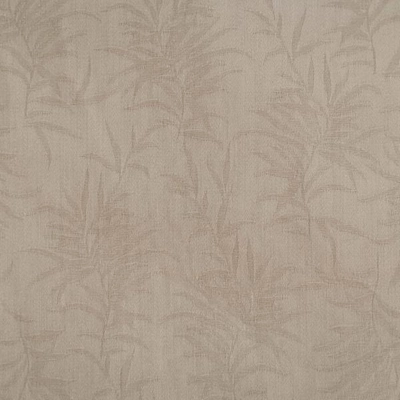 koko_taupe_5_2_1
