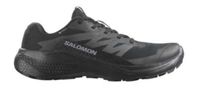 Chaussures de Trail Salomon Homme Alphaglide GTX Black Asphalt Black