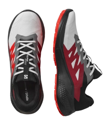 2---zapatilla-salomon-alphaglide-gtx-l47802200-_no-bg