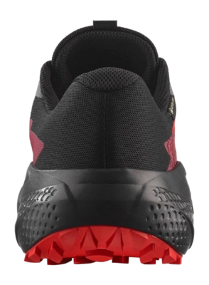 3---zapatilla-salomon-alphaglide-gtx-l47802200 (2)-_no-bg