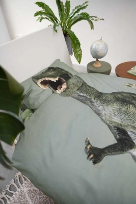 5---Dino_jurassic_green_1persoons_rgb-4791