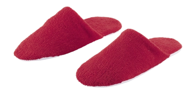 ALEX SLIPPERS 579 (2)-_no-bg
