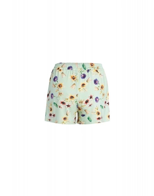 2---nori_fiorre_shorts_subtle_green_102156_679_lr_pb1_p