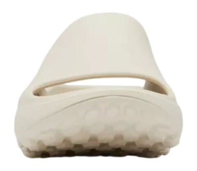 6---2027291_278_t-_no-bg