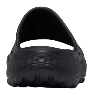 7---2027281_010_b-_no-bg