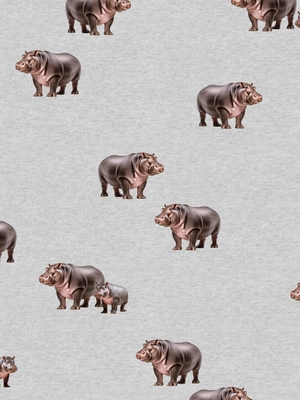 5---A4_sample_hippos
