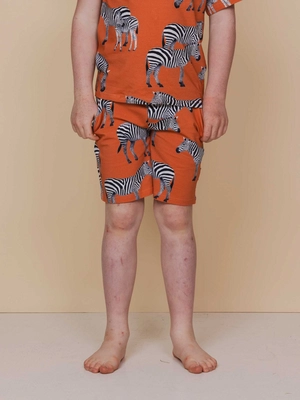 2---SS25_Zebra_Kids_TshirtShorts_896