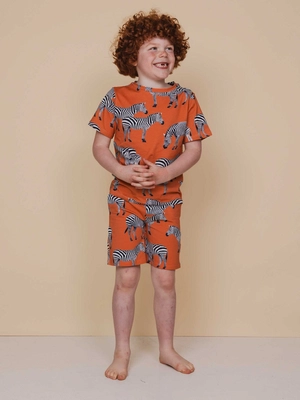 3---SS25_Zebra_Kids_TshirtShorts_884