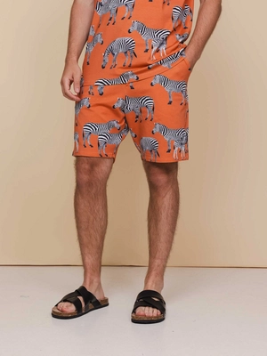3---SS25_Zebra_Men_TshirtShorts_1002