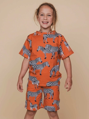 2---SS25_Zebra_Kids_TshirtShorts_914