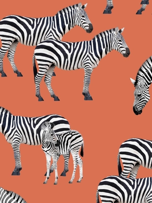 5---A4_sample_zebras