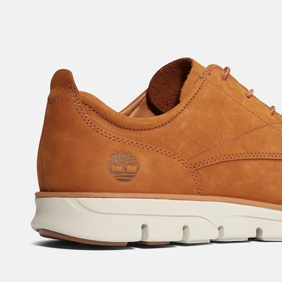 8---Bradstreet-Low-LaceUp-Trainer-for-Men-in-Brown (2)
