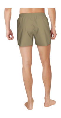 NESSF560_241_alt1