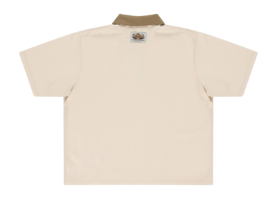 PALSS25016-120-2-_no-bg