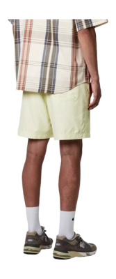 4---chase-swim-trunks-air-green-gold-34 (3)