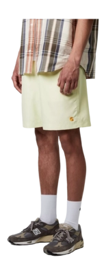 5---chase-swim-trunks-air-green-gold-34 (4)