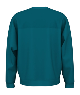 811415_RALLY Crewneck Men_TE_2