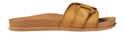 CJ2874-2