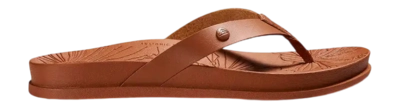 CJ6562-2