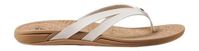 CJ3677-2