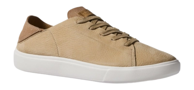 2---RF.F24.TERRAMARM-CJ6011-1
