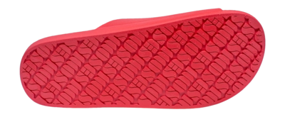 2---FUJISOLE
