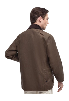 3---MWX0018BE51_AW23MAIN_back_1