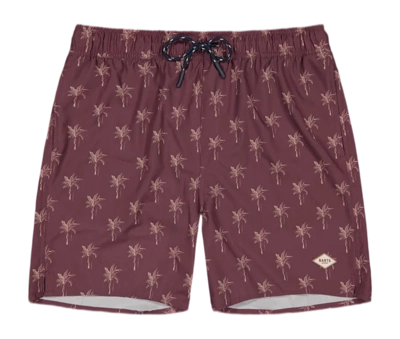 Badehose Barts Bernardou Shorts Herren Prune
