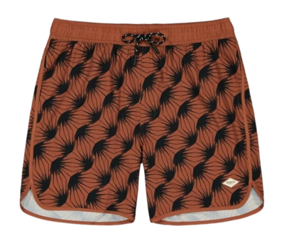 Badehose Barts Crampton Shorts Herren Terra