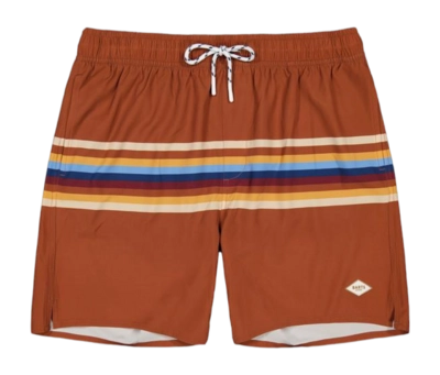 Zwembroek Barts Men Gurrad Shorts Terra