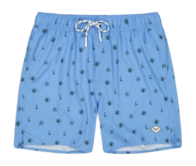 Zwembroek Barts Men Jerrick Shorts Sky