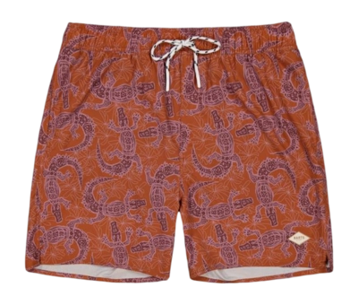 Maillot de Bain Barts Homme Kinghorn Shorts Terra
