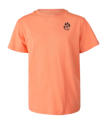T-Shirt Brunotti Garçon Mikry Melon
