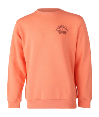 Trui Brunotti Men Naval Melon