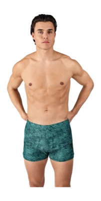 Zwembroek Brunotti Men Samier AO Reflection Fuel Green