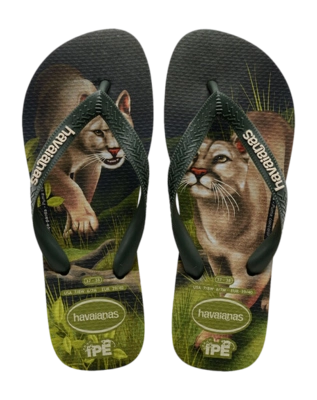 Slipper Havaianas Unisex Ipe Olive Green