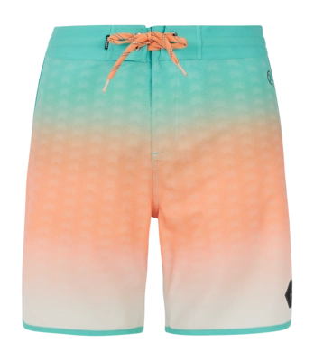 Beach Shorts Protest Men Prtchad Wave Green