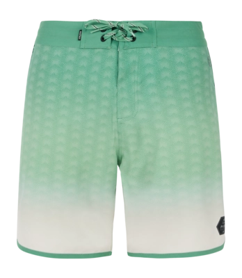 Short de Plage Protest Homme Prtchad Cactus Green
