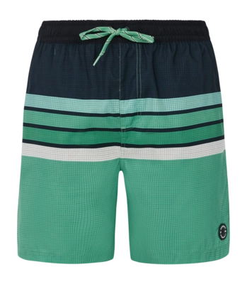 Beach Shorts Protest Men Prtavik Cactus Green