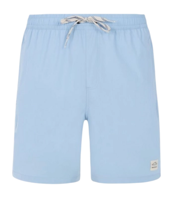 Beach Shorts Protest Men Prtbaky Dusty Blue