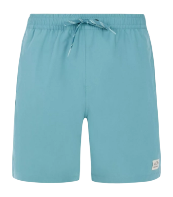 Beach Shorts Protest Men Prtbaky Arctic Green