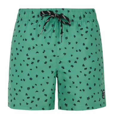 Badeshorts Protest Prtjuan Herren Cactus Green