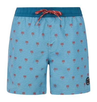Beach Shorts Protest Men Prtparco Dusty Blue