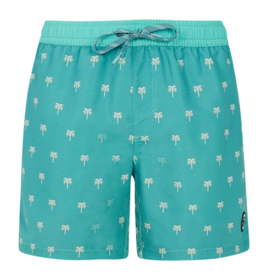 Beach Shorts Protest Men Prtparco Wave Green